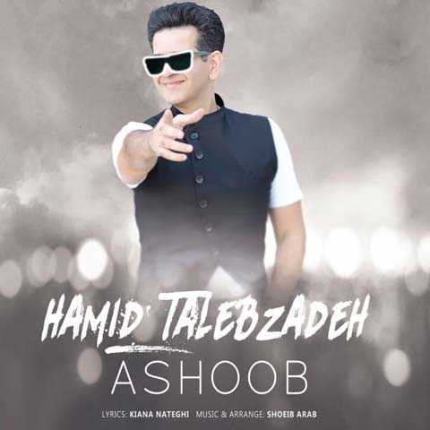 Hamid Talebzadeh Ashoob